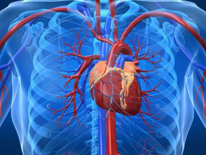 prevention of myocardial infarction stroke