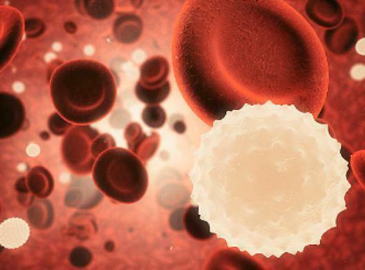 الاختلافات في المناعة الخلوية والخلطية