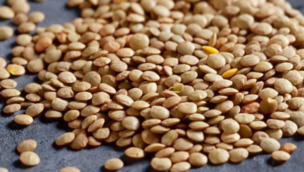 the use of lentils for the body