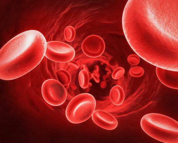 compatibility table for blood groups