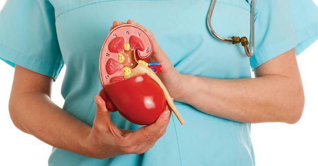 acute and chronic nephritis