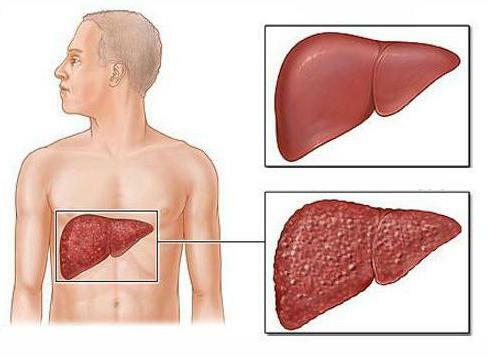 antral reviews of doctors