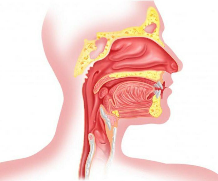 sore throat on the left side when swallowing
