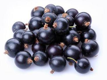 what vitamins are rich in black currant