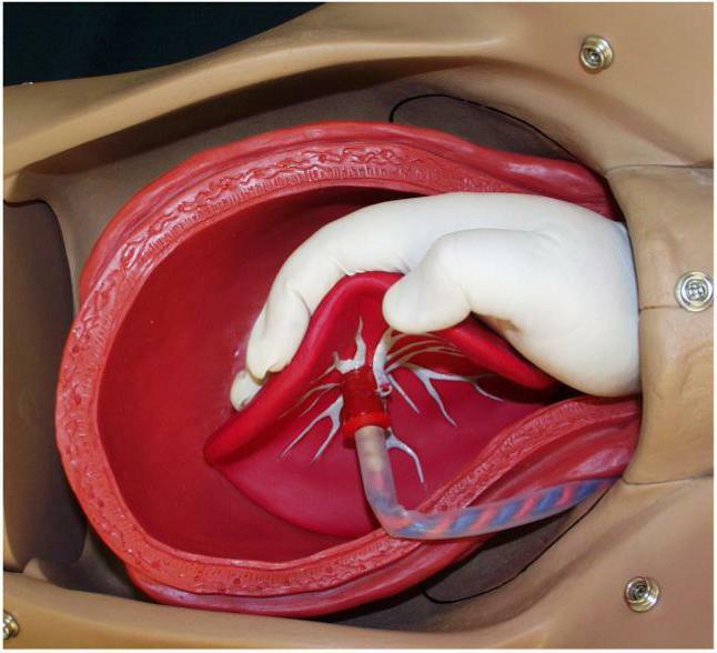 degree of maturation of the placenta