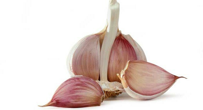 Garlic as a remedy for hypertension treatment with folk remedies