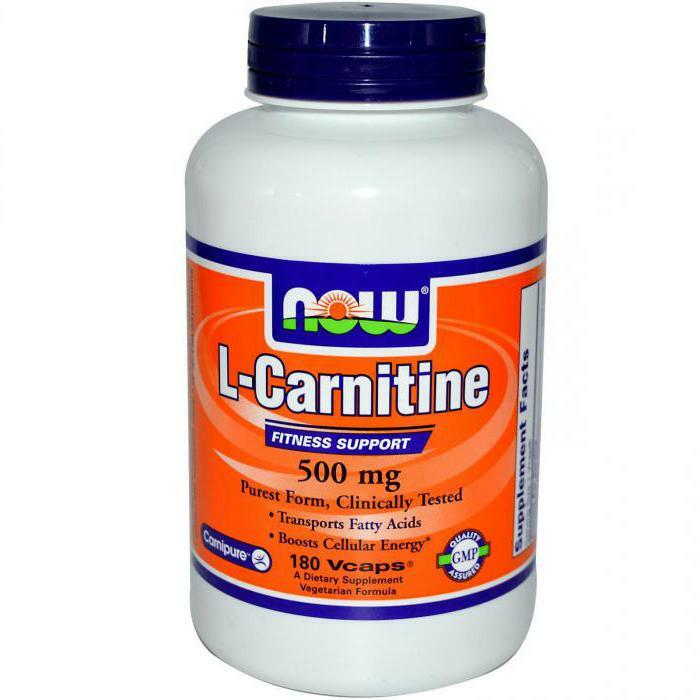 L Carnitine How to Take For Weight Loss Price