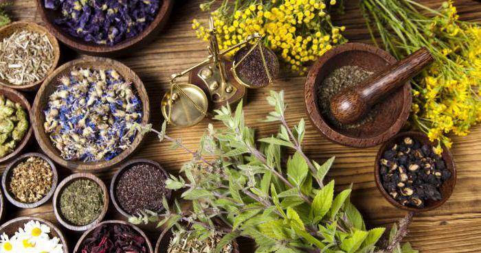 Marva Ohanyan: golden recipes of naturopathy