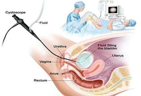 urology clinic