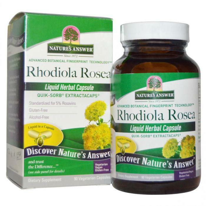 rhodiola ružové liečivé vlastnosti a kontraindikácie