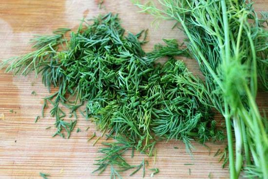dill useful properties and contraindications