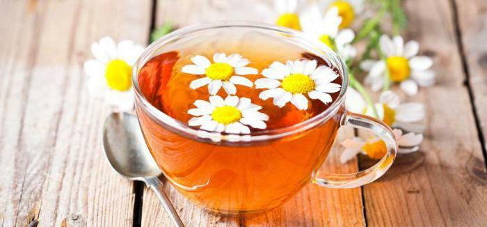 Chamomile infusion: benefit and harm, best recipes, contraindications ...