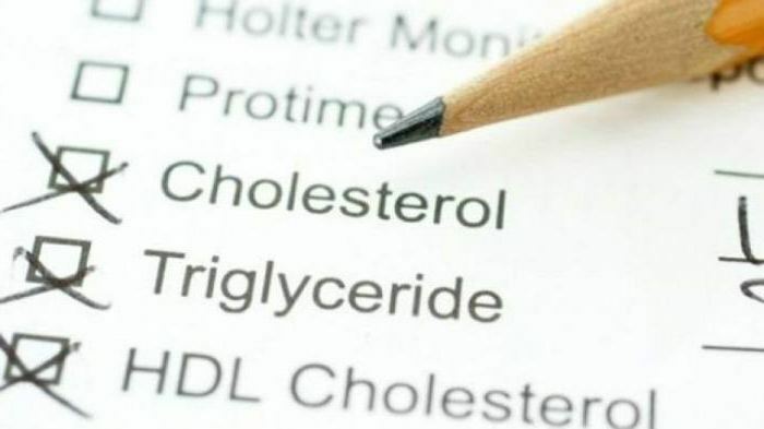 Good and bad cholesterol what it is