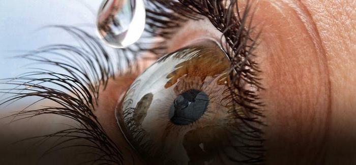 Inocaine oogdruppels Gebruiksaanwijzing
