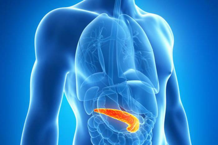 anatomia pancreasului