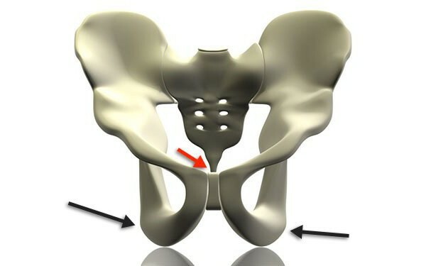 symptoms of the coccyx