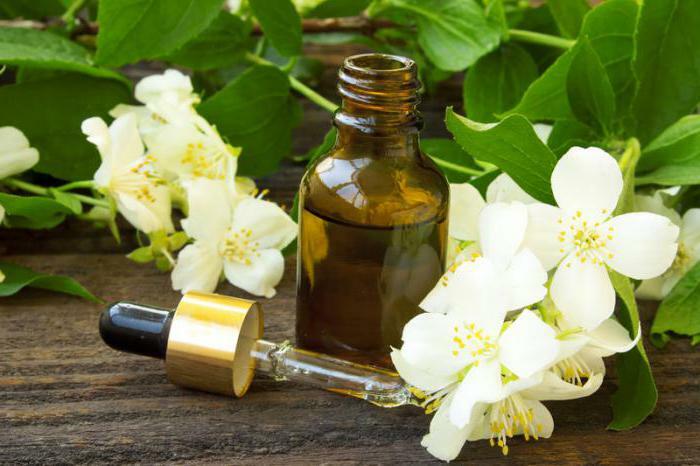 essential oil jasmine reviews