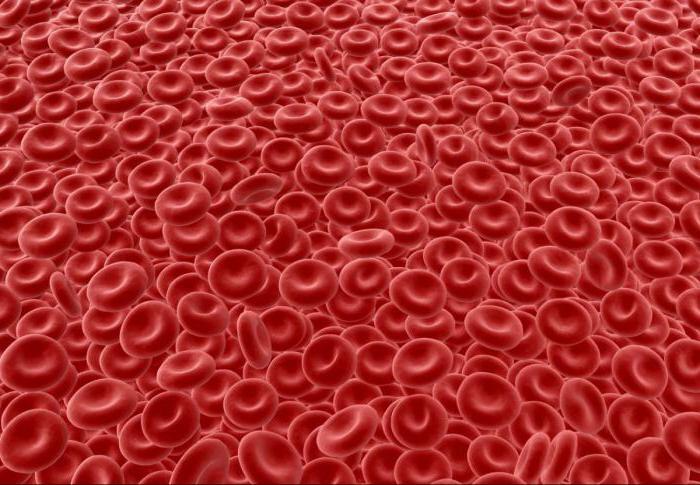erythrocytosis what is it?