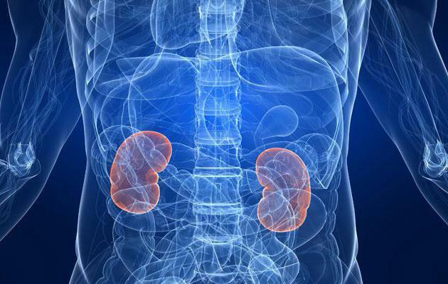 cancer kidney predictions after removal