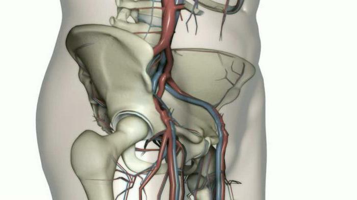 pain in the sacrum giving in the right leg