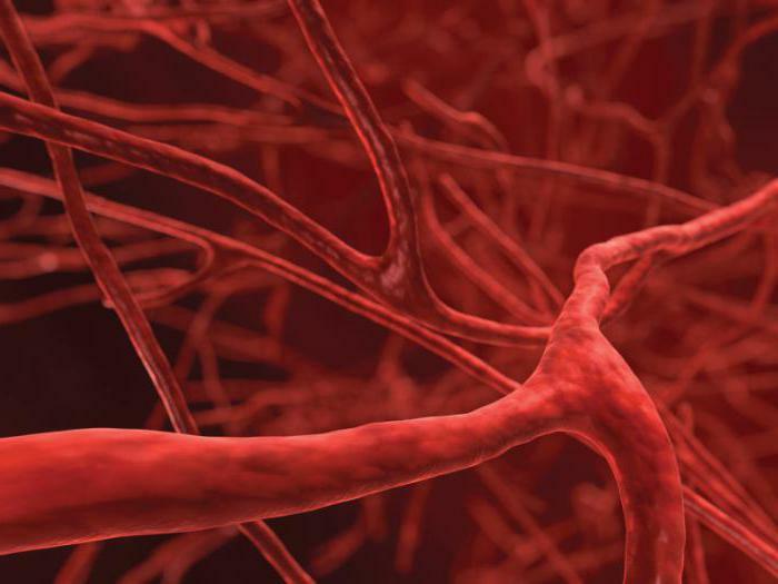 rheological properties of the blood what it is