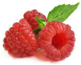 properties of raspberry