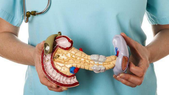 anatomia pancreasului