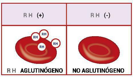 régime de transfusion sanguine du facteur Rh