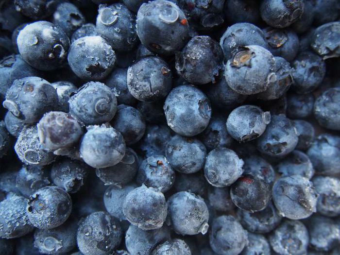 Fresh blueberries weakens or strengthens