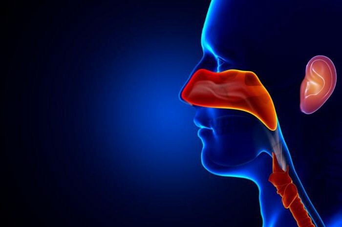 The bridge of the nose hurts: possible causes, diagnosis and treatment