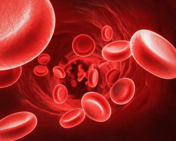 lavt hæmoglobin har brug for transfusion