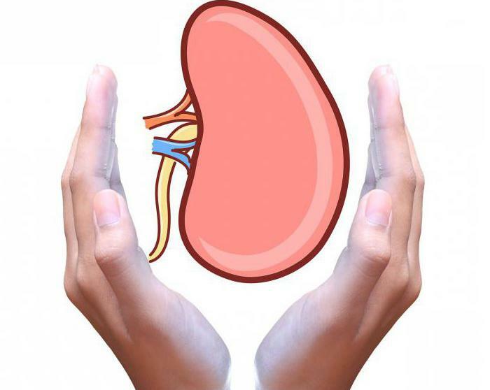 azotemia what is it?