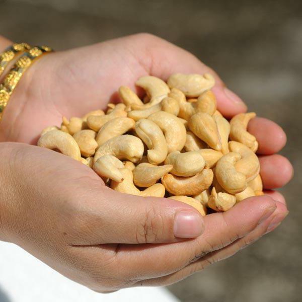 useful cashew properties for women