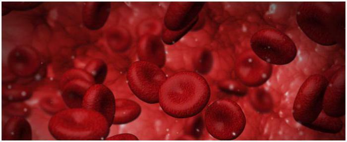 Decoding of the general blood test HCT