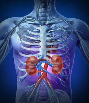 Angiomyolipoma of the kidney causes symptoms of the treatment