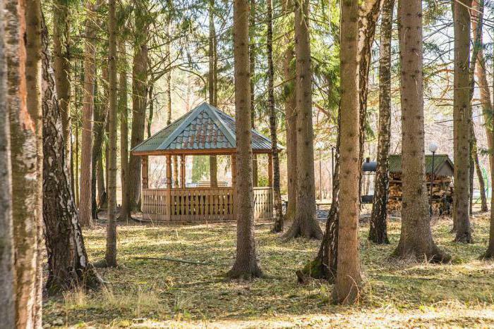 sanatorium blå flod zvenigorod anmeldelser