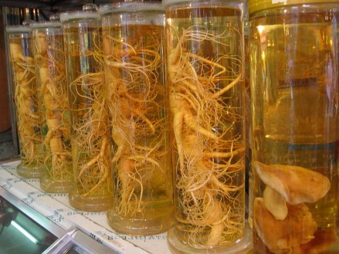 ginseng tincture návod na použitie