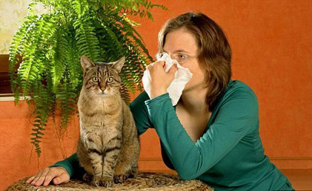respiratory allergosis in children