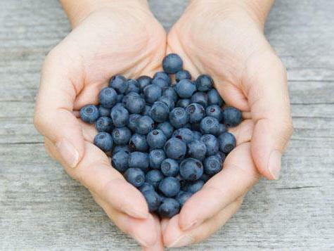 blueberries useful properties and contraindications
