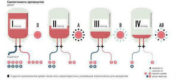 a universal donor is a person with a blood group