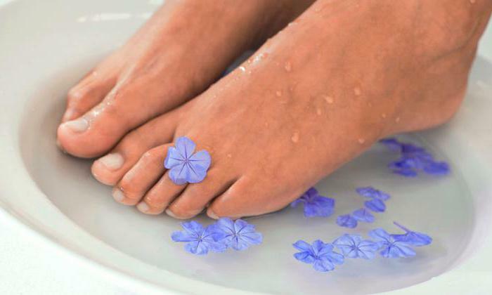 Effective remedies for nail fungus on the legs