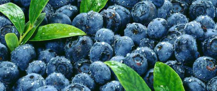 blueberry weakens or strengthens the baby