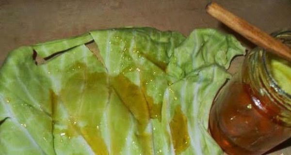 cough treatment with cabbage leaf and honey