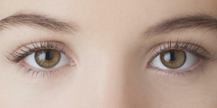 inflammation of the eyes in a child than to treat