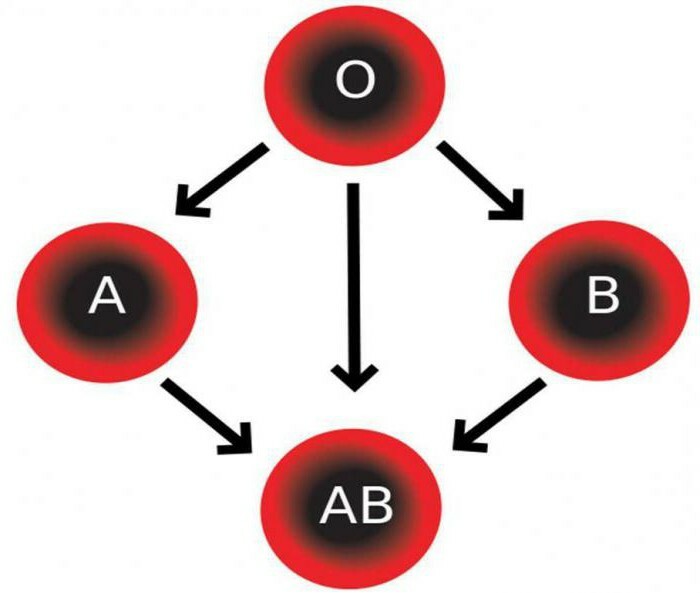 transfusion sanguine par groupes