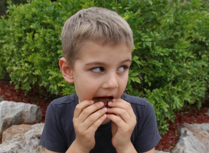 allergy to chocolate in children