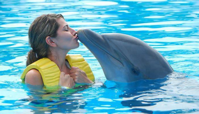 dolphin therapy in Anapa reviews