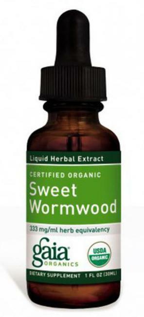 Wormwood Annual Against Cancer Where Growing
