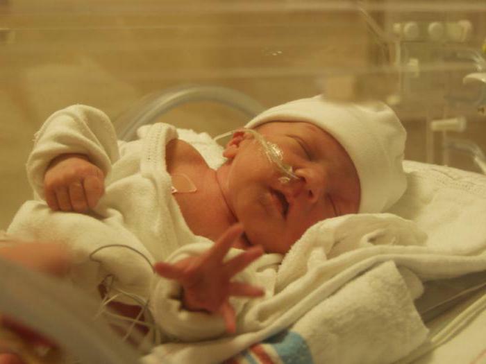 signs of prematureness of prematurity and prematurity of the newborn