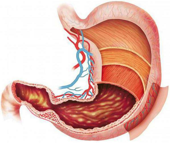 nutrients enter the bloodstream through the villi of the small intestine